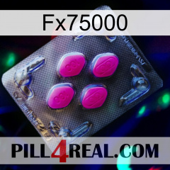 Fx75000 02